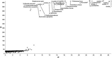 Full Article Network Based Gut Microbiome Analysis In Dogs