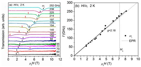 High Magnetic Field Esr In S Skew Chain Antiferromagnet Ni V O