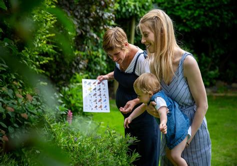 Public Urged To Help Save Uk Butterflies In 2022 Big Butterfly Count