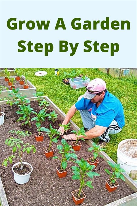 Grow A Garden Step By Step Reliable Beginners Guide Bubblebeet