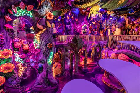 Meow Wolf Denver | 9 reasons to visit | blooloop