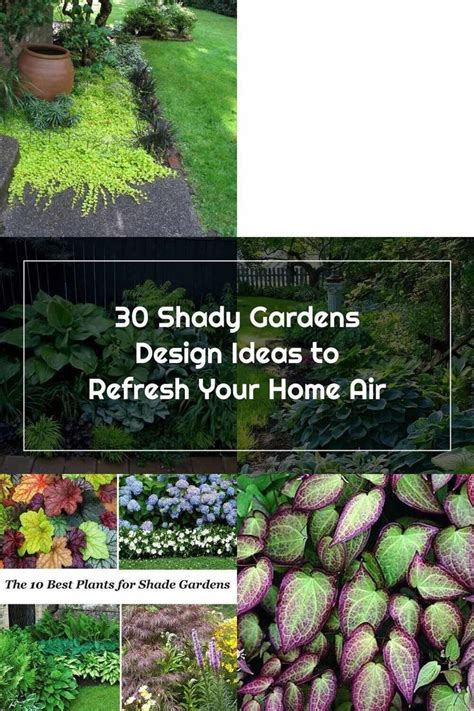 Shade Garden Shady Gardens Design Ideas To Refresh Your Home Air