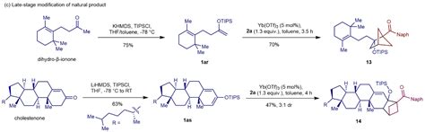 有机合成丨西湖大学邓力课题组nature Communications：lewis酸催化烯醇硅醚和双环丁烷 哔哩哔哩