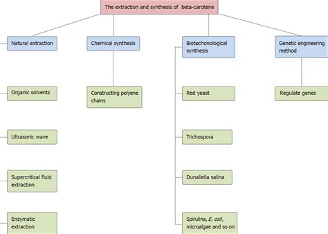 Beta Carotene And Its Protective Effect On Gastric Cancer