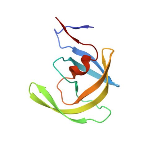 Rcsb Pdb Fns Crystal Structure Of Wild Type Inactive D N Hiv