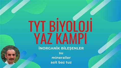 Tyt B Yoloj Kampi Su M Neraller As T Baz Tuz Pdf A Iklama