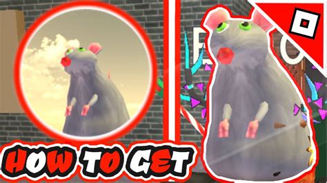 How To Get The Rat Hat And Get The Rat Badge In Roblox Big Bank