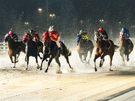 Welcome to Delta Downs Racetrack Casino Hotel in Vinton, Louisiana | DeltaDowns.BoydGaming.com