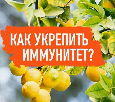 Как повысить иммунитет, с помощью народных средств, в домашних условиях ...