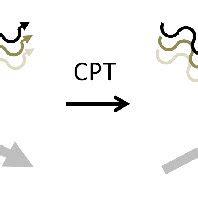 Applying the CPT symmetry to synchrotron radiation emission. | Download ...