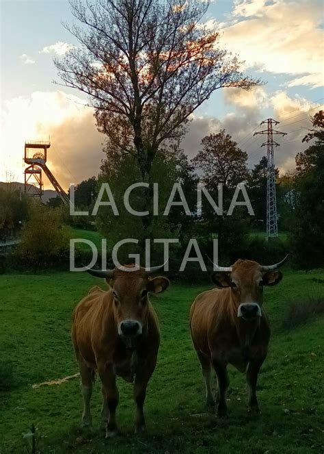 Laciana Digital Recibe Las Primeras Fotografías Que Concurrirán A Su