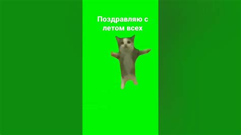хапи хапи хапи хапиии #хапи #лето - YouTube