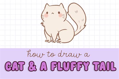 How To Draw A Fluffy Cat