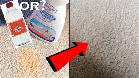 How To Remove Tomato Ketchup From A Light Coloured Carpet You