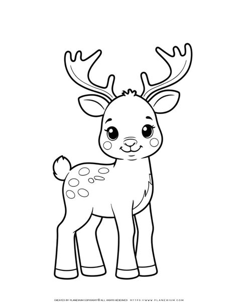 Baby Reindeer Coloring Page Festive Christmas Fun For Kids