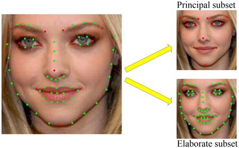 Facial Landmarks Are Divided Into Principal Subset And Elaborate