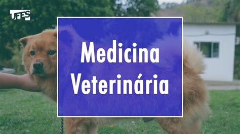 Medicina Veterin Ria Ufes Campus De Alegre Youtube