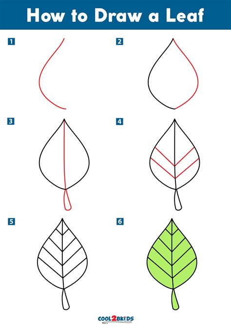 draw  leaf coolbkids