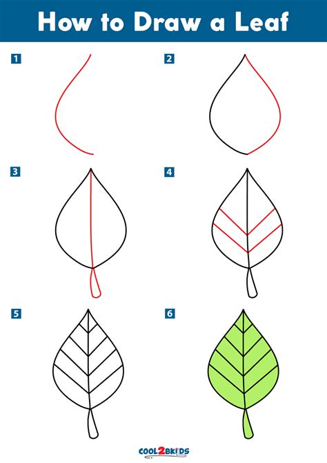 How To Draw A Simple Leaf Step By Step Leaf Drawing Tutorial For Beginners Nbkomputer