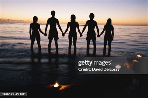 Group Of Friends Holding Hands Silhouette High-Res Stock Photo - Getty Images