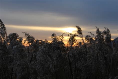 Free Images Horizon Mountain Snow Winter Cloud Sky Sunrise