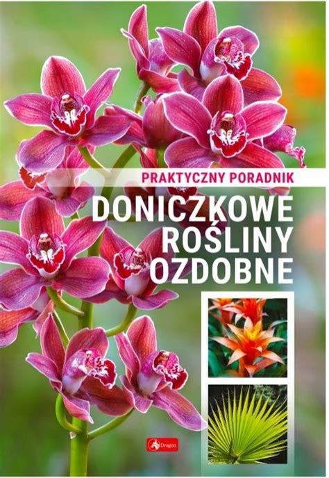 Doniczkowe rośliny ozdobne Poradnik praktyczny Praca zbiorowa