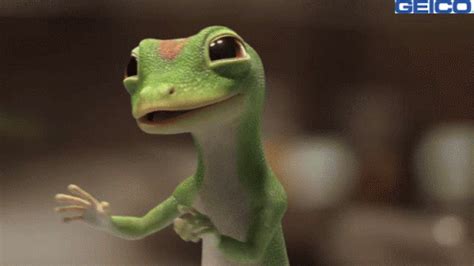 Geico Gecko GIF - Geico Gecko Wince - Discover & Share GIFs