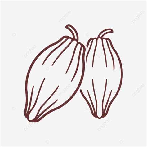 Cocoa Bean Icon Chocolate Cocoa Bean Cocoa Bean Png And Vector With