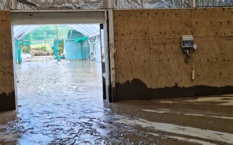 Sunlive In Photos Cyclone Gabrielle Damage The Bay S News First