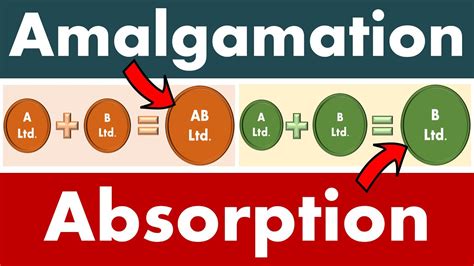 Differences Between Amalgamation And Absorption Youtube