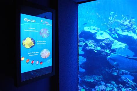 Playful Interactive And Educative Touch Displays In Aquarium Digital