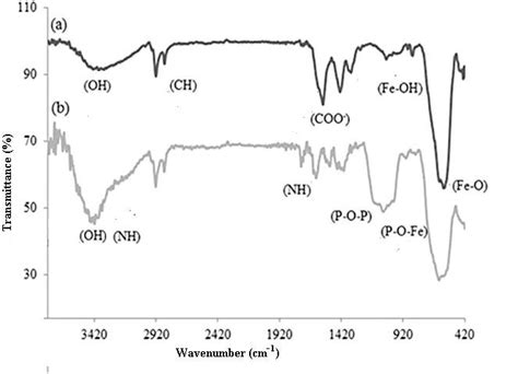 Ft Ir Spectra Of A Fe 3 O 4 B Fe 3 O 4 Aeph 2 Download