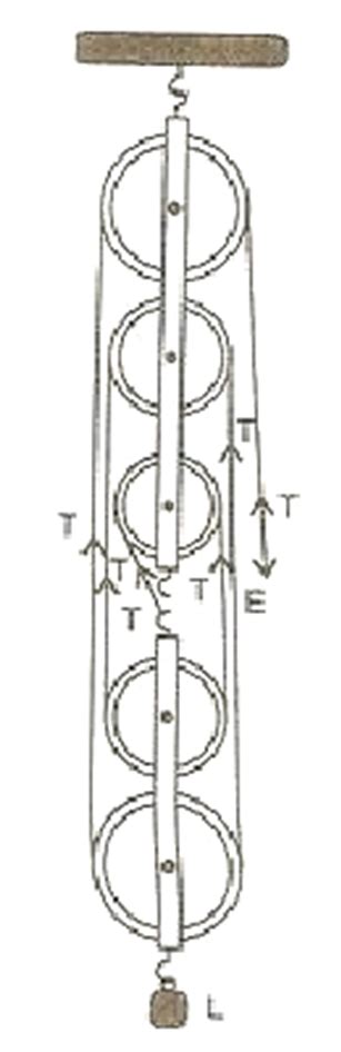 Draw a diagram of a block and tackle system of pulleys having a ...