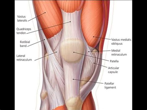 Knee Medial Plica Resection And Partial Medial Menisectomy Youtube