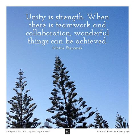 Family Unity And Strength Quotes. QuotesGram