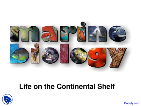 Life On The Continental Shelf Marine Biology Lecture Slides Docsity