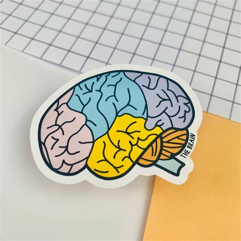 Brain Sticker Vinyl Sticker Psychology Stickers Pastel Etsy