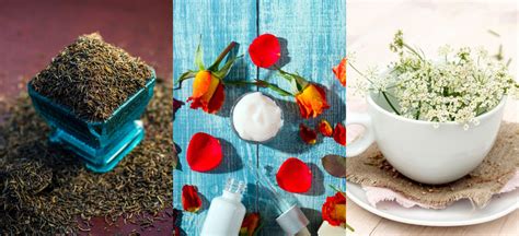 Flower power: medicinal flowers and plants you can grow in your garden!