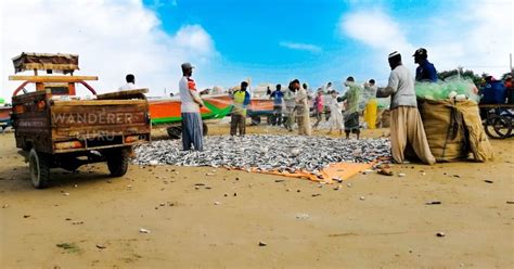 The Beautiful Gwadar Port and Beach Balochistan | Wanderer Guru