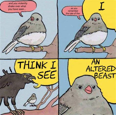 Probably the 10,000th annoyed bird meme on this sub : r/KGATLW