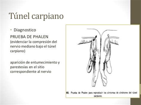 Exploracion Ortopedica