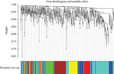 Weighted Gene Coexpression Network Analysis Wgcna And Least Absolute