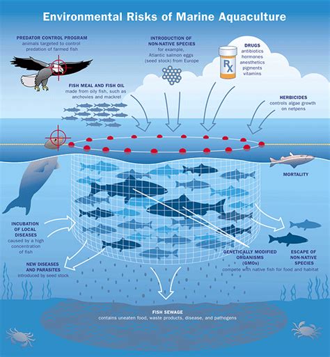 Aquaculture: The Environmental Impact – Mother Jones