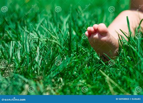 Funny Picture of Baby Feet. Stock Image - Image of finger, cute: 56958865