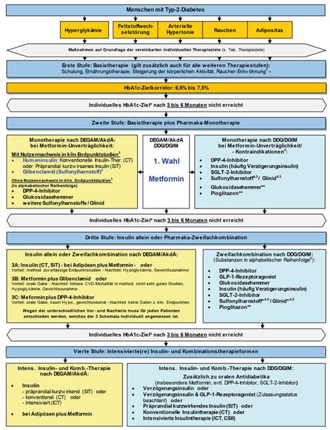 Kontroverse Leitlinie Therapie Des Typ 2 So Geht Es Weiter