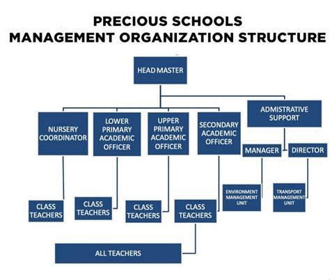 Management Structure Precious Nursery And Primary School