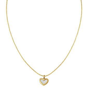 18K Gold Plated Stainless Steel Heart Necklace Intensity SKU 87487