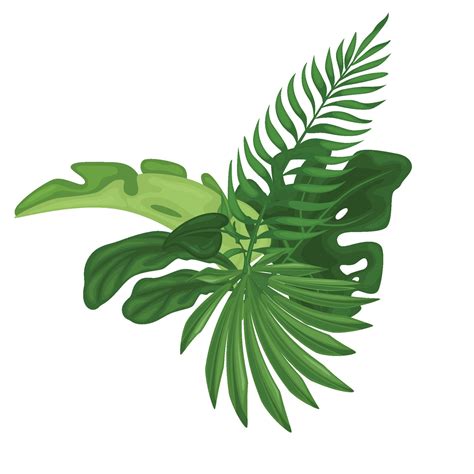 Green tropical leaves. 25255047 Vector Art at Vecteezy