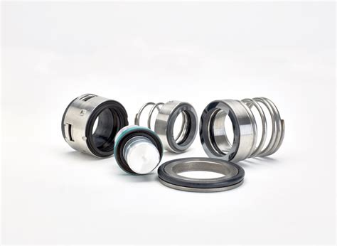 Mechanical Seals Ashton Seals