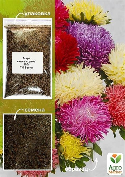 Айстра суміш сортів ТМ "Весна" 100г NEW купити поштою в Одесі, Києві ...